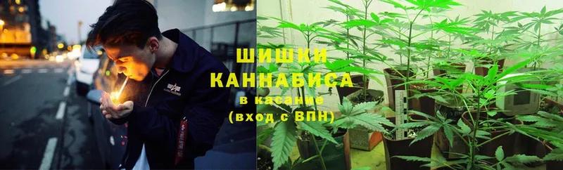 Бошки Шишки Ganja  Кизляр 